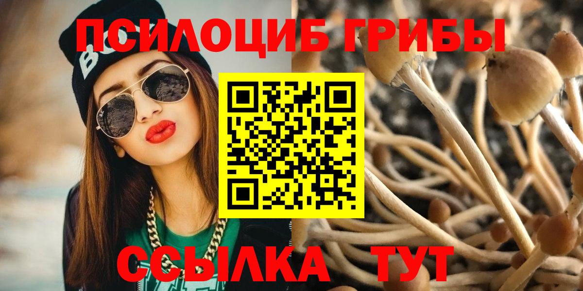 Гудермес  Псилоцибиновые грибы мицелий  Вход с VPN  Псилоцибиновые грибы GOLDEN TEACHER 
