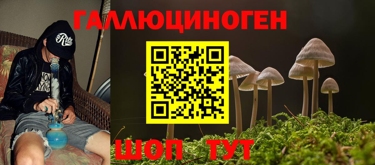 Галлюциногенные грибы ЛСД Гудермес